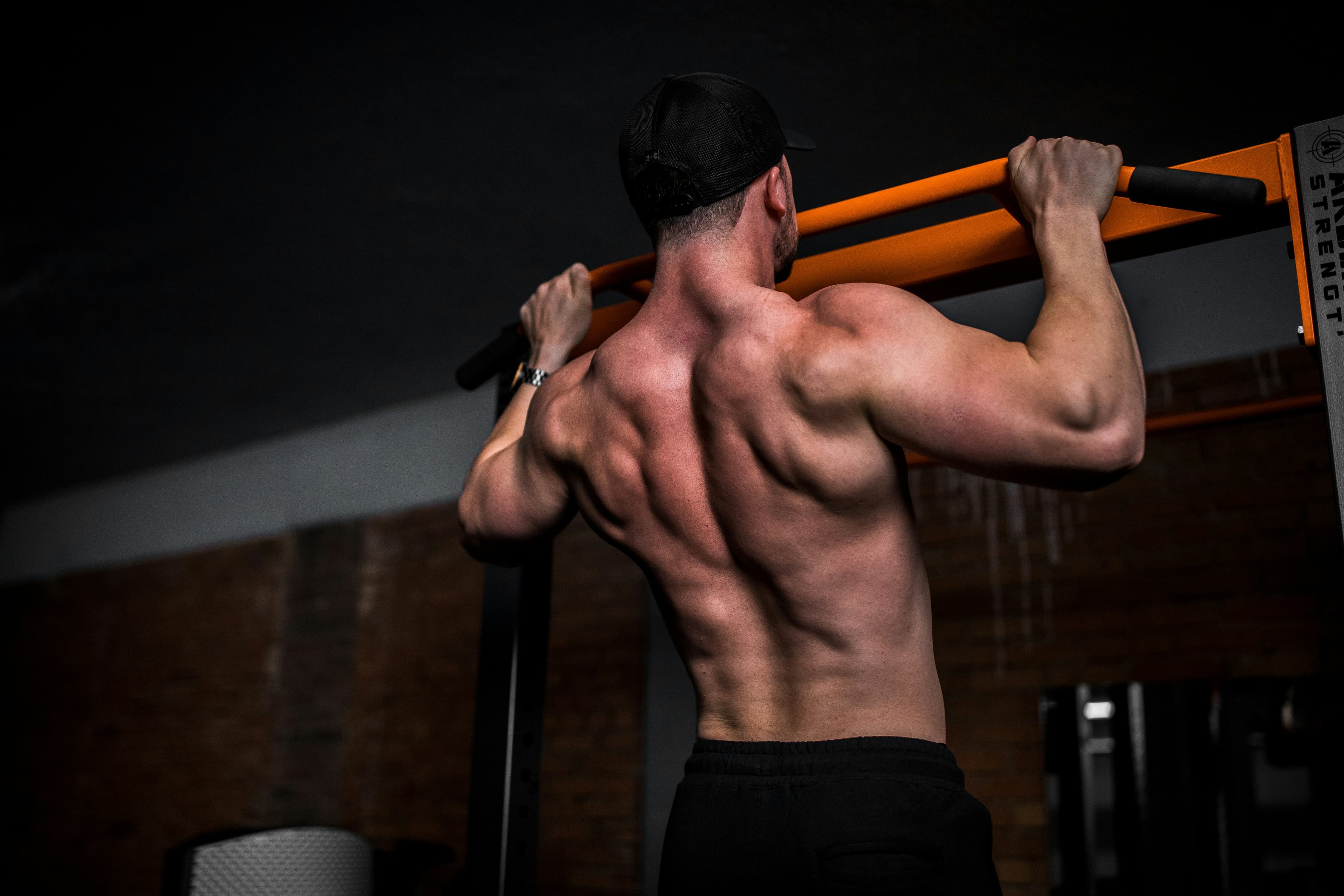 Pull-Up Strength Standards: How Many Should You Be Able to Do? - Featured image for exercise library article